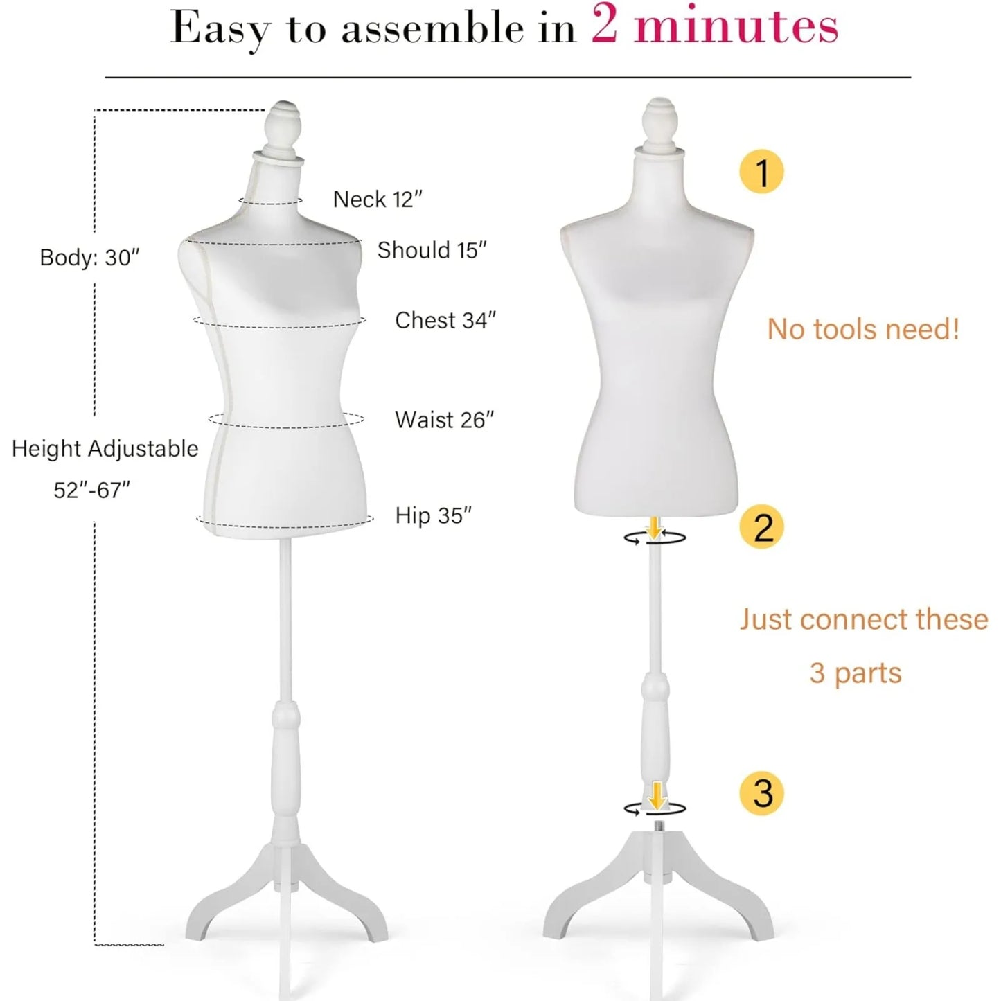 Female Mannequin Body/Torso, Adjustable with Stand