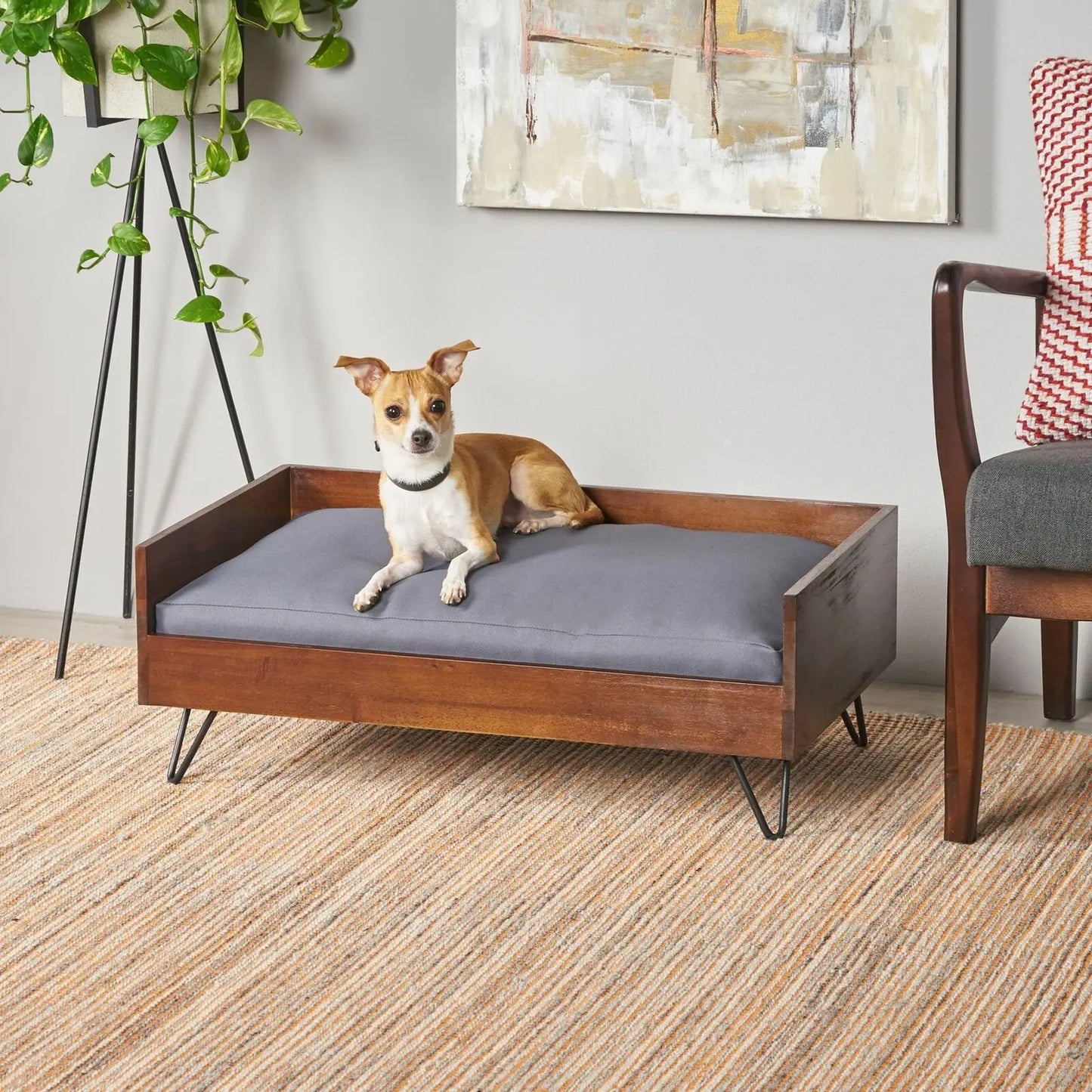 modern buffered wooden structure dog bed