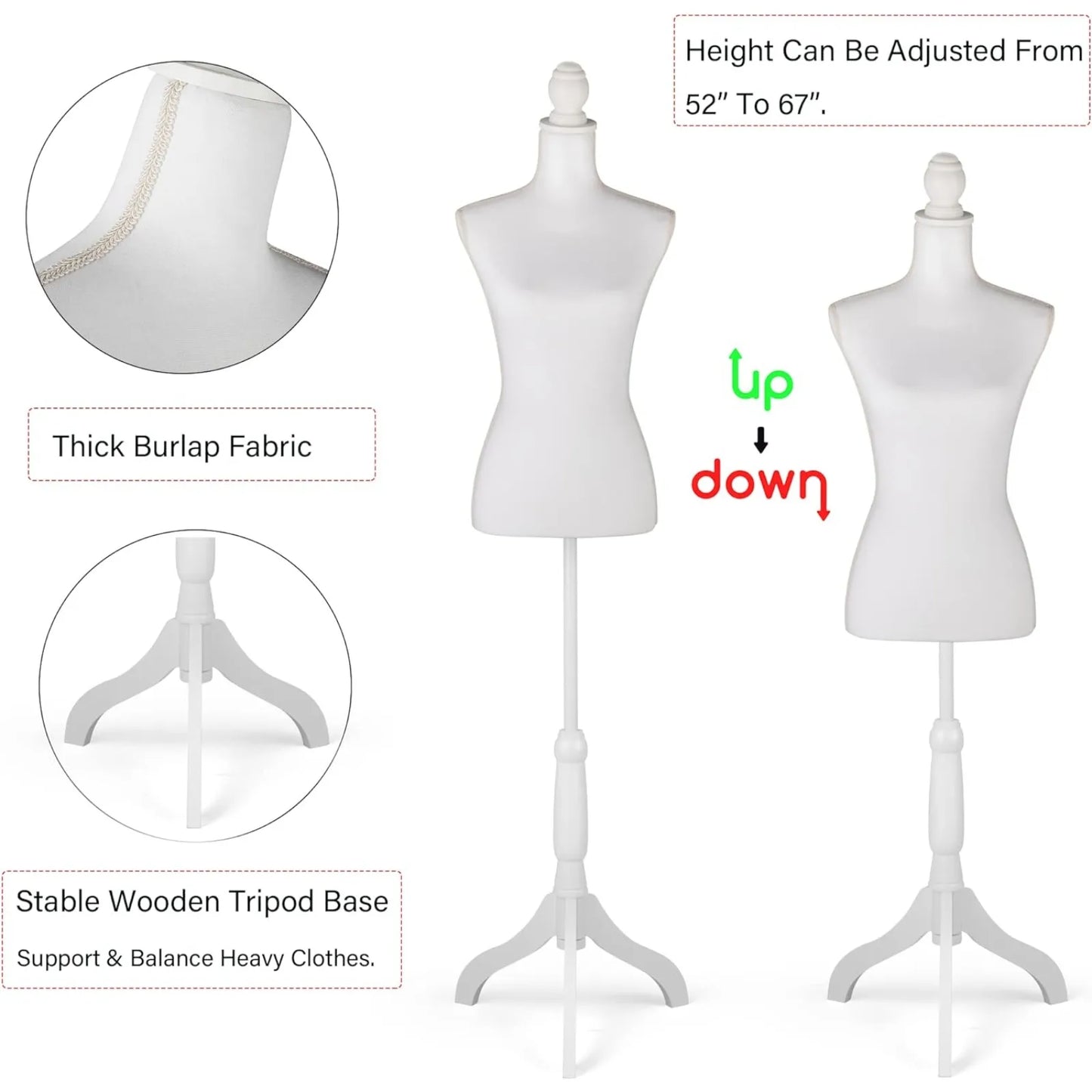 Female Mannequin Body/Torso, Adjustable with Stand